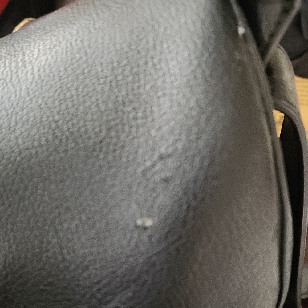 Love Moschino Black Studded Heart Backpack Gold Hardware Mini Bag OS - Picture 11 of 15